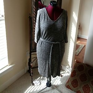 Glittery Dress/Lane Bryant